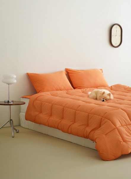 ��ǰ ������